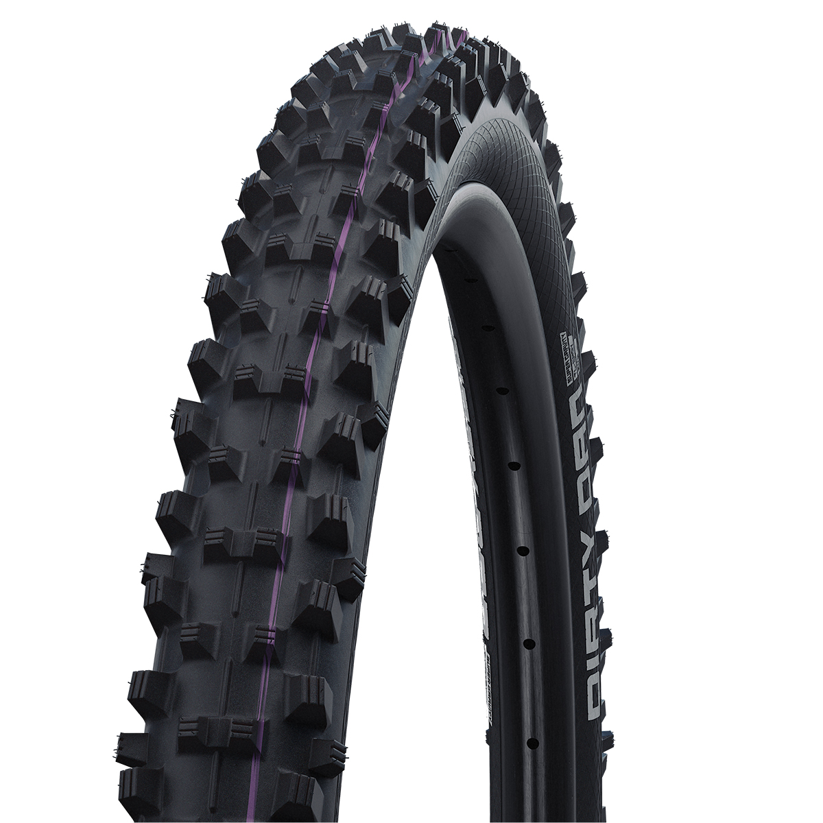 COPERTURA SCHWALBE DIRTY DAN EVO 29x2.35 NERO HS417