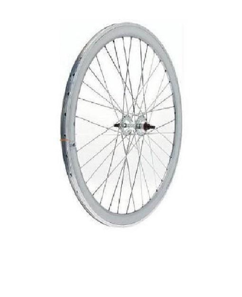 RUOTA BRN FIXED SILVER ANTERIORE