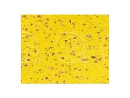 Nastro Manubrio Cinelli Cork Giallo